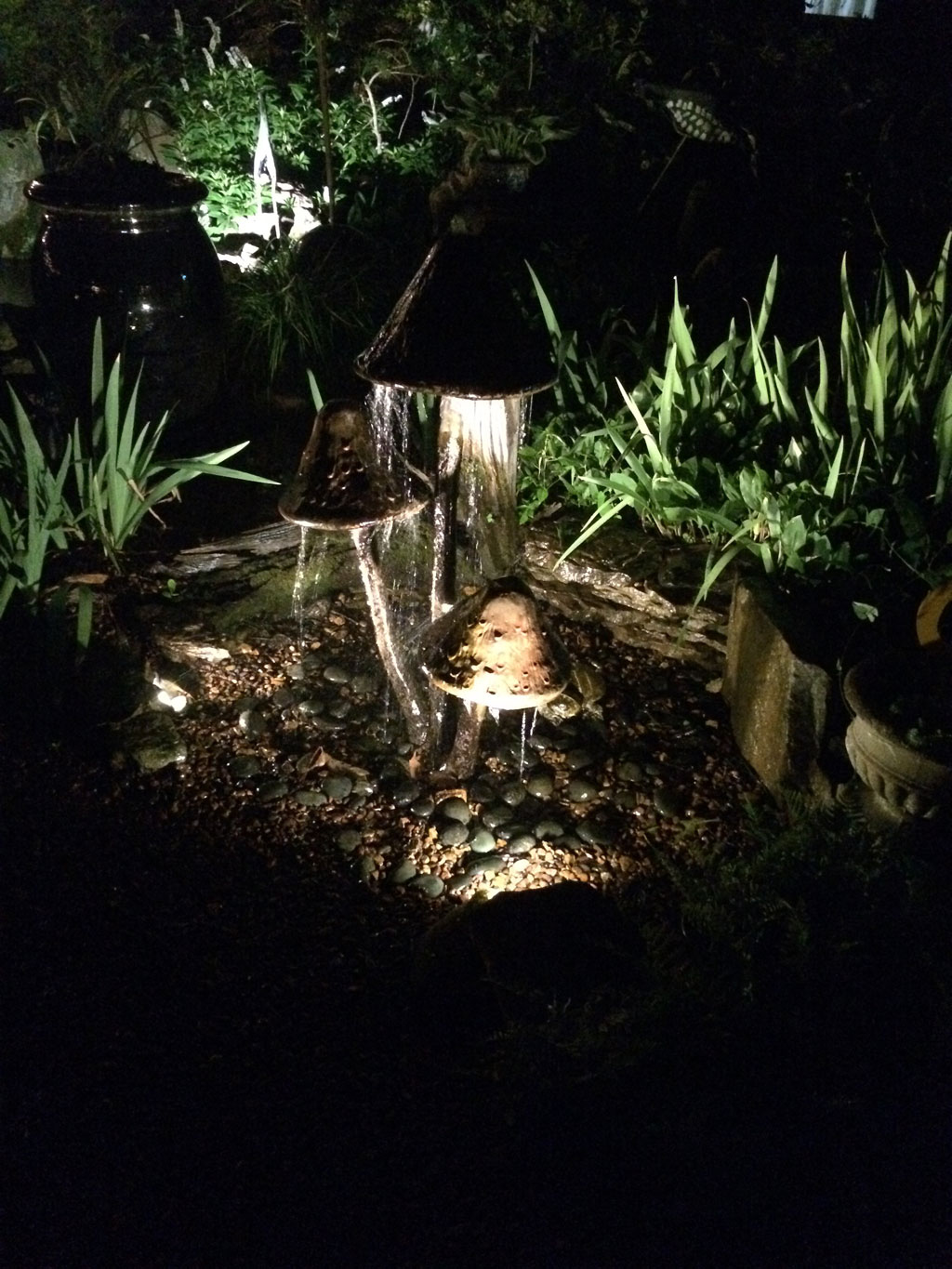 Landscape Lighting – Carter's Nursery, Pond and Patio, Inc.