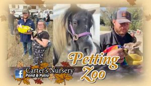 The Petting Zoo is so much fun! Bring the Grandkids and have some fun!